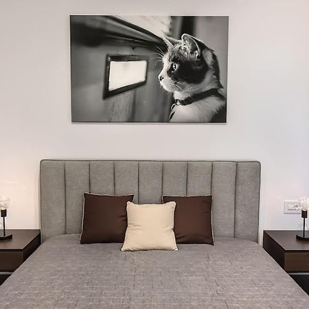 Modern Apartment With City-View Near Poiana Μπρασόβ Εξωτερικό φωτογραφία